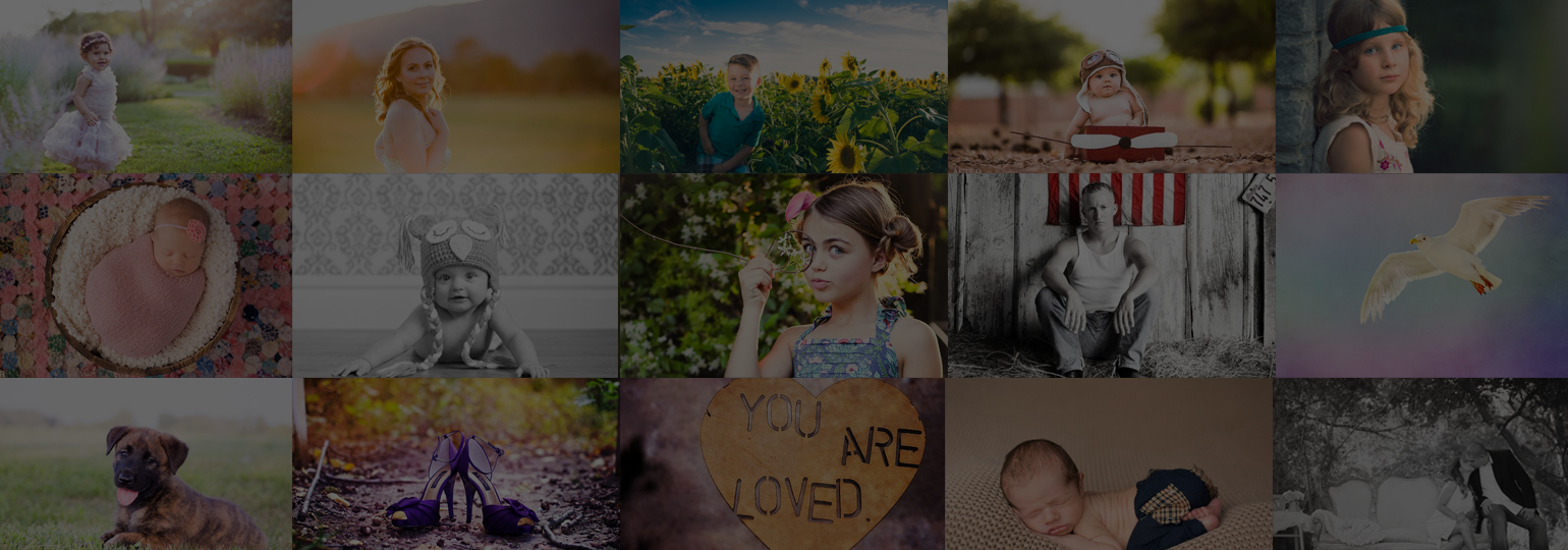 Photoshop elements 11 costco coupon