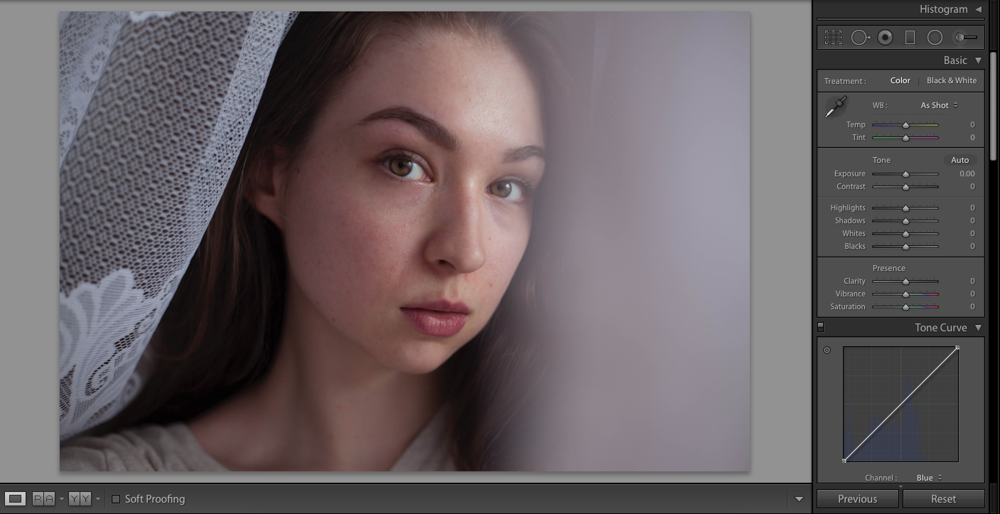 simple portrait